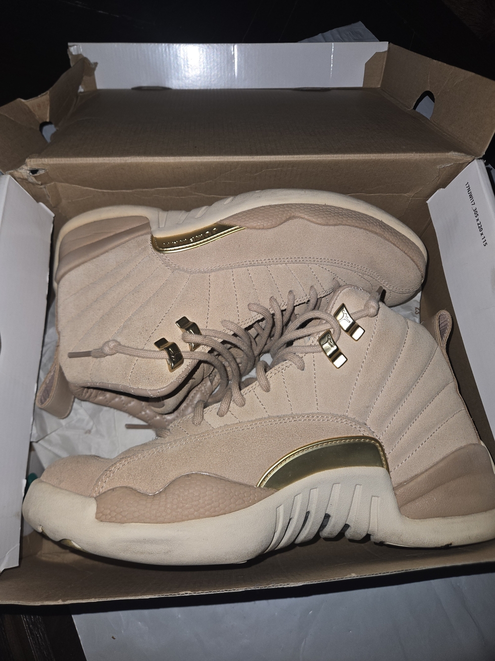 Air Jordan 12 Retro Women